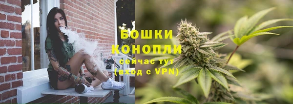 амф Богданович