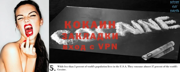 амф Богданович