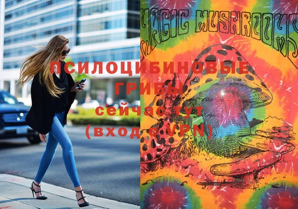 MESCALINE Богородск