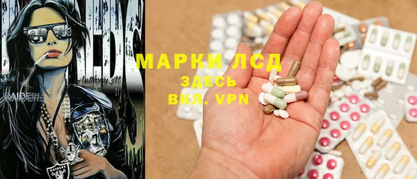 амф Богданович
