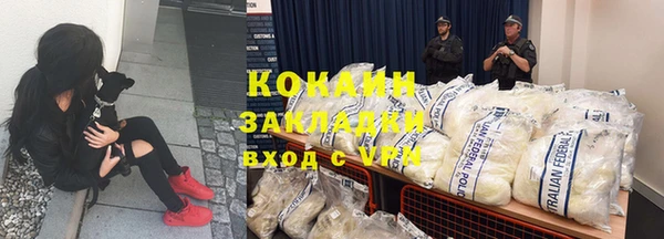 амф Богданович