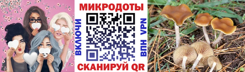 Псилоцибиновые грибы мицелий  блэк спрут как войти  Нахабино 