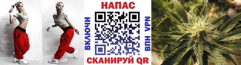 где купить   Нахабино  Бошки марихуана планчик 